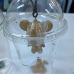 RASG Fluid Painting Bear Keychain Workshop