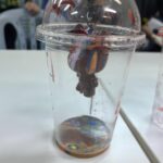 RASG Fluid Painting Bear Keychain Workshop